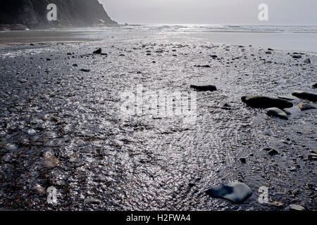 USA, Oregon, Oswald West Staatspark, kurzer Sand Creek fließt in Richtung des Pazifischen Ozeans. Stockfoto