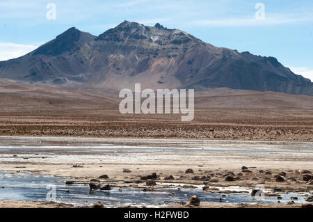 Parque Nacional Lauca auf dem Altiplano am bolivianischen-chilenischen Grenzposten von Chungara Stockfoto