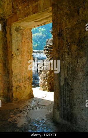 Tür im Tempel. Tikal in Guatemala. Stockfoto