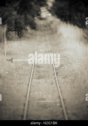 Alte verlassene Bahnstrecke und Wald. Verträumt und geheimnisvolle Natur Einstellung mit Railroad tracks in schwarz und weiß. Stockfoto