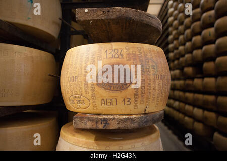 Parmigiano-Reggiano Stockfoto