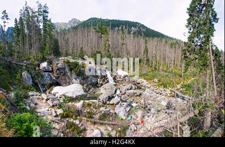 Wasserfälle von Studeny Potok Stream in der hohen Tatra-Gebirge in der Nähe von Stary Smokovec Stadt, Slowakei Stockfoto