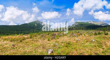 Panorama der hohen Tatra (Vysoke Tatry) in der Slowakei. Auf dem Weg zum Popradske Pleso See Stockfoto