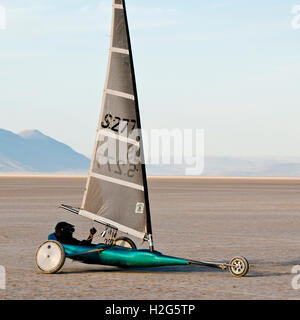 "Land"auf Segeln Harney County in Oregon SE Alvord See ("Playa").  Herr und PR Formen sind beigefügt Stockfoto