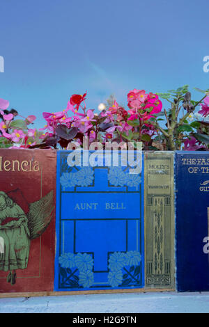 Fenster-Blumenkasten mit Stacheln bedeckt und erstreckt sich von Büchern. Am Fenster einer Buchhandlung in der Bücherstadt Wigtown, Schottland. Stockfoto