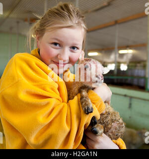 Teenager-Mädchen hält ein Neugeborenes Lamm, Island Stockfoto