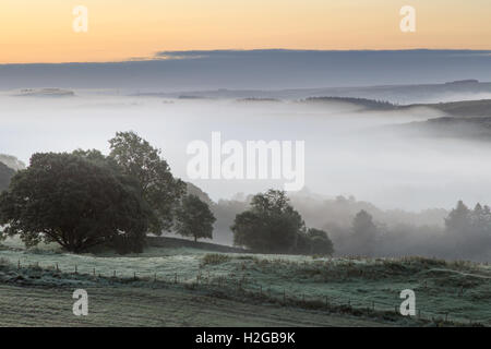 Früh am Morgennebel bei Sonnenaufgang, Walltown Felsen, Hadrianswall, Northumberland, England - auf der Suche nach Südosten Stockfoto