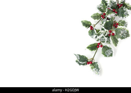 Künstliche Holly Zweig mit Früchten - Ilex aquifolium Stockfoto