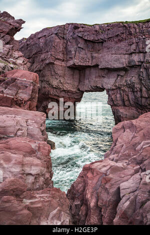 Das Meer-Bögen in der Nähe von Tickle Bucht, Neufundland und Labrador, Kanada. Stockfoto