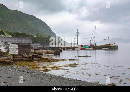 Angelboote/Fischerboote in Curzon Dorf, Neufundland und Labrador, Kanada. Stockfoto