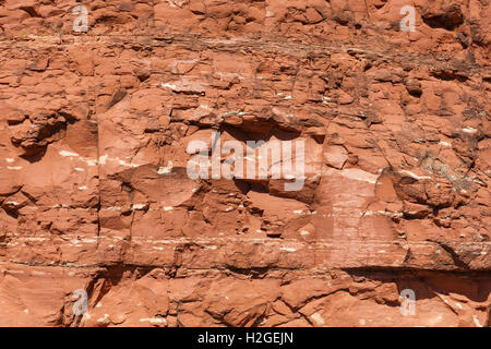 roter Sandstein Textur Muster Hintergrund für Designer, Sedona, Arizona Stockfoto