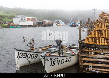 Angelboote/Fischerboote im Hafen von Forellenfluss, Neufundland und Labrador, Kanada. Stockfoto