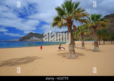 Palmen am Strand, Playa de Las Teresitas, San Andrés Santa Cruz in den Hintergrund, Teneriffa, Kanarische Inseln, Spanien Stockfoto