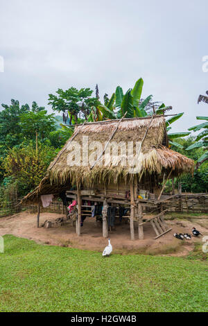 Einfaches Haus, Hütte, Khmu Minderheit Dorf Ban Nalan Tai Nam Ha National Park, Luang Namtha, Laos Stockfoto