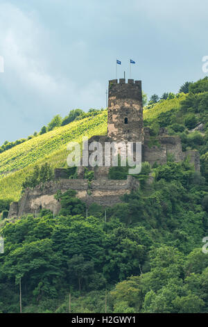 Ruine der Burg Fürstenberg, Bacharach am Rhein, Deutschland Stockfoto