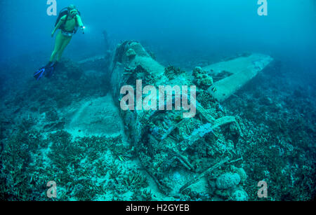 Scuba Diver erforscht eine Grumman F6F Hellcat Flugzeug abgeschossen während des 2. Weltkrieges im Pazifik-Konflikt. Stockfoto