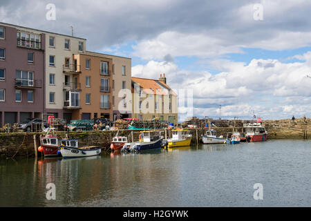 Angelboote/Fischerboote vertäut im ummauerten Hafen. Royal Burgh St Andrews, Fife, Schottland, Großbritannien Stockfoto