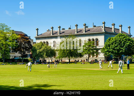 Cricket-Match am Hochschulpark, Trinity College, Dublin, Irland Stockfoto