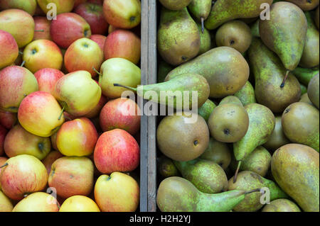 Stapel von grünen Birnen weiter, um frische rote und grüne Äpfel auf dem Display in Outdoor-Körbe am Bauernmarkt Früchte stapeln Stockfoto