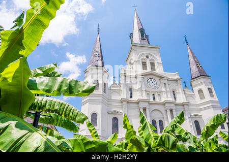 New Orleans berühmten Kirchtürme der Cathedral Basilica of Saint Louis mit Bananenpalmen unter blauem Himmel im French Quarter Stockfoto