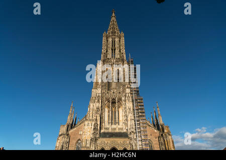 Ulmer Münster, Ulm, Baden-Württemberg, Deutschland, Europa Stockfoto