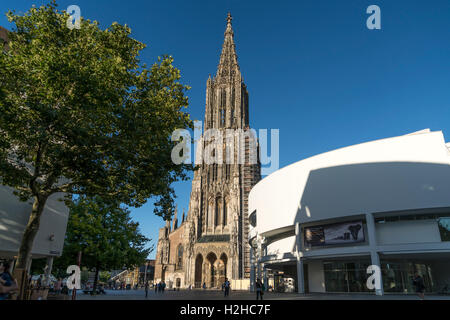 Ulmer Münster und Stadthaus Stadthaus, Ulm, Baden-Württember Stockfoto