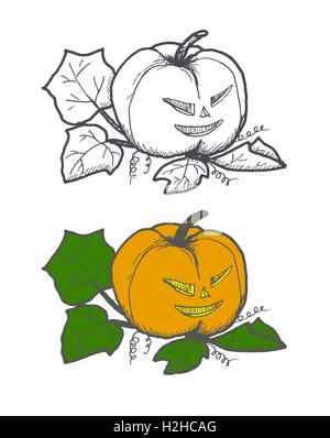 Hand gezeichnet doodle Halloween Pampkin. Schwarzer Feder Objekte und Farbzeichnung. Design-Illustration für Poster, Flyer. Stock Vektor