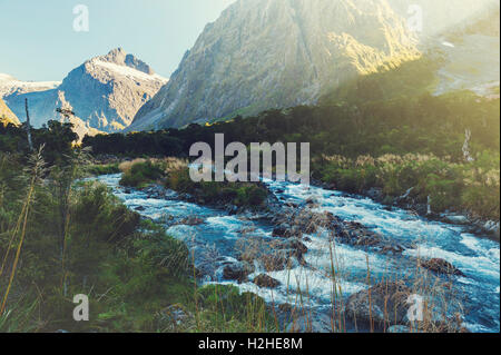 Scenic Lookout Hollyford Valley am Monkey Creek am Milford Road, Milford Sound, Neuseeland Stockfoto