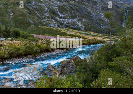 Scenic Lookout Hollyford Valley am Monkey Creek am Milford Road, Milford Sound, Neuseeland Stockfoto