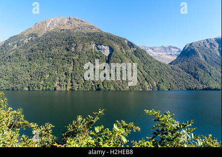 Lake Gunn im Fiordland National Park. Südinsel von Neuseeland Stockfoto