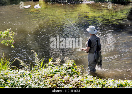 HAN-SUR-LESSE, Belgien-10. September 2016: Fischer Angeln am Fluss Lesse mit Wald im Hintergrund Stockfoto