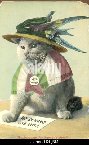 Comic-anthropomorphe Postkarte Katze gekleidet wie eine Frauenrechtlerin Stockfoto