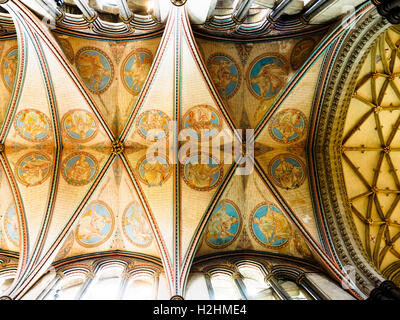 Rippe Gewölbedecke oberhalb Clerestory Fenster in der Kathedrale von Salisbury oder die Kathedrale der Heiligen Jungfrau Maria - Wiltshire, England Stockfoto