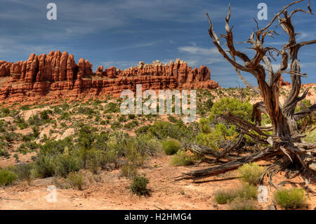 Die Männer marschieren im Bereich Klondike Bluffs des Arches National Park, Utah Stockfoto