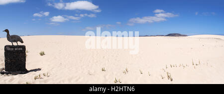 Fuerteventura: das Zeichen des Sand Dunes National Park in der Form eines Vogels Stockfoto