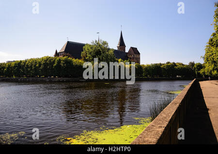 Königsberg Kathedrale in Kaliningrad, Russland Stockfoto
