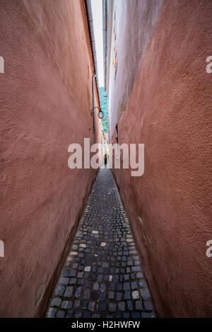 80m lange Strada Sforii (Seil Straße auch als Zeichenfolge Street) in Brasov, Rumänien, eines der schmalsten Straßen in Europa Stockfoto