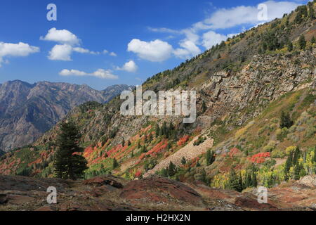 Herbst in den Bergen, Utah Stockfoto