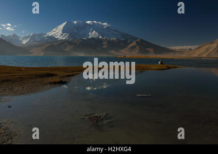 Schneebedeckte Muztagh Ata Berg spiegelt sich in den Gewässern der Karakul See am Karakorum Highway, Xinjiang. Stockfoto