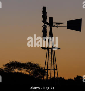 Eine Windmühle ergibt sich aus der Baumgrenze als Silhouette gegen eine orange Sonnenuntergang im trockenen Norden Südafrikas. Stockfoto