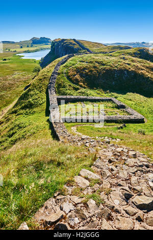Ein Hadrian Wall Milecastle Fort in der Nähe von Houseteads römisches Kastell, Vercovicium, A UNESCO World Heritage Site, Northumberland, England Stockfoto