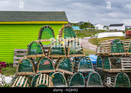 Angelboote/Fischerboote und bunten Fischen Bühnen in neue Perlican, Neufundland und Labrador, Kanada. Stockfoto