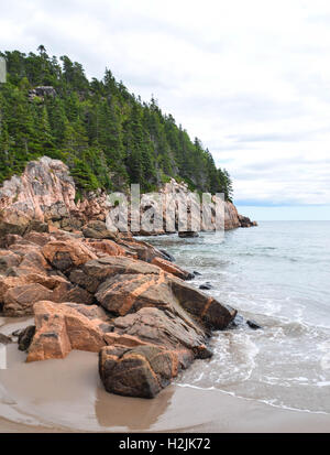 Pinien und felsige Ufer mit Blick auf den Atlantischen Ozean vor der Black Brook Cove Beach entlang der Cabot Trail Nova Scotia Kanada Stockfoto