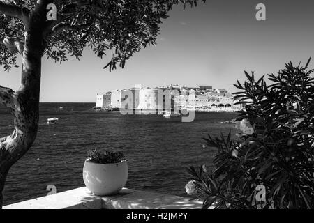 Stari Grad (Altstadt) und den alten Hafen, von der Terrasse des Hotels Excelsior, Dubrovnik, Kroatien, Schwarz und Weiss. Stockfoto