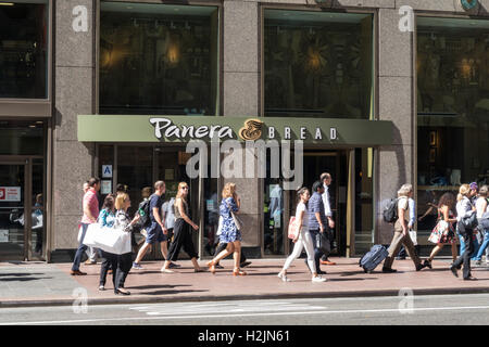 Panera Bread Storefront, NYC, USA Stockfoto