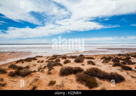 Blick auf Lake Hart, ein Salzsee in der Nähe der Stuart Highway, South Australia Stockfoto