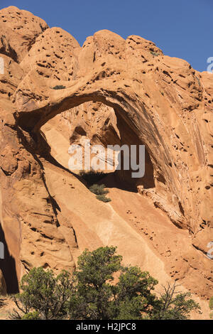 Utah, Capitol Reef National Park, obere Alternativsäge Twist Canyon, Sattel Arch Stockfoto