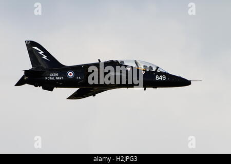 XX316, eine BAe Hawk T1 von der Royal Navy am Prestwick Flughafen während der Übung Joint Warrior 15-1 betrieben. Stockfoto