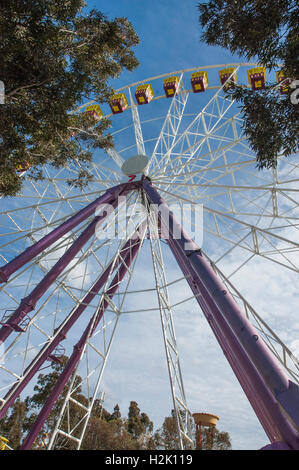 Riesenrad auf der Royal Melbourne Stockfoto