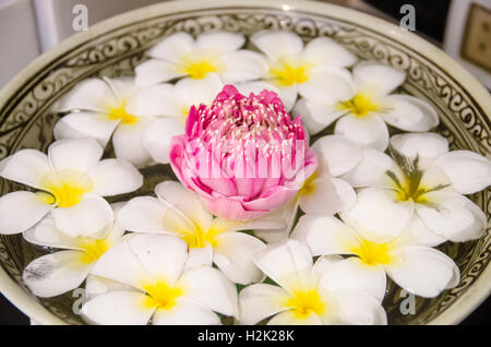 Plumeria Spa Blüten über dem Wasser mit rosa Lotus, Lotus im Fokus Stockfoto